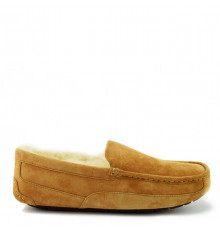 UGG Mens Ascot Chestnut 