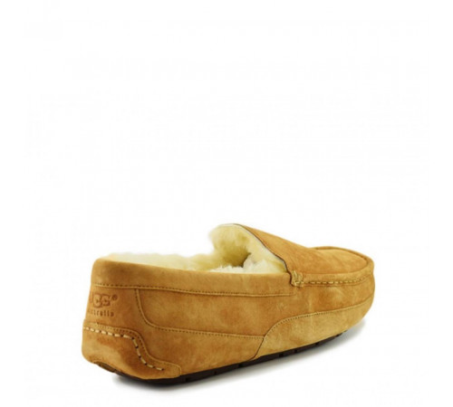 UGG Mens Ascot Chestnut 