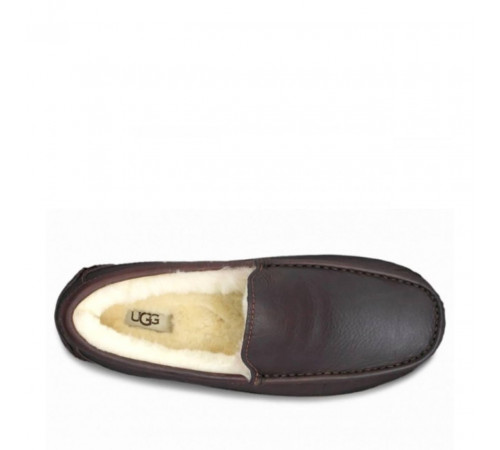 UGG Mens Ascot Leather Chocolate 