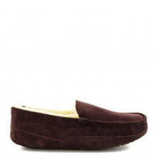UGG Mens Ascot Chocolate 
