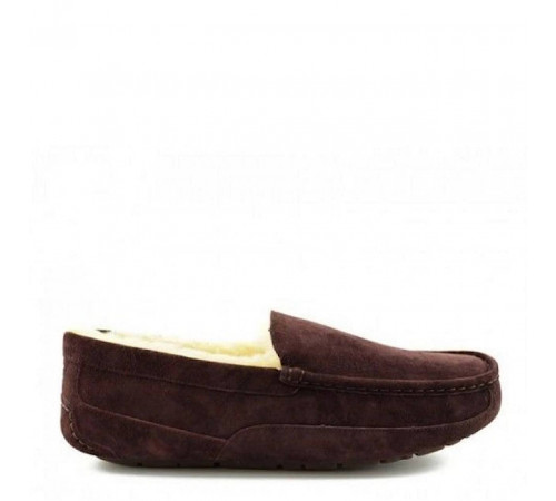 UGG Mens Ascot Chocolate 