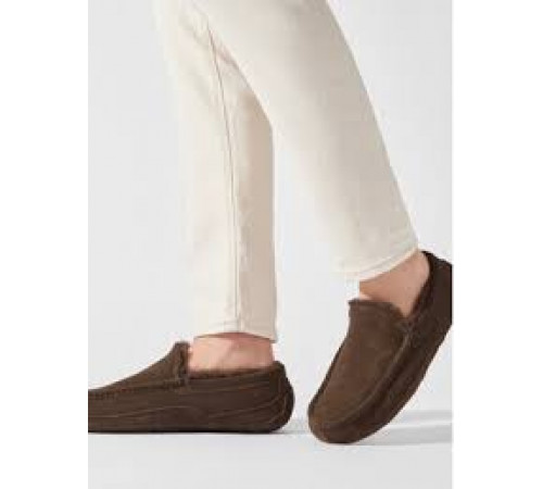 UGG Mens Ascot Chocolate 