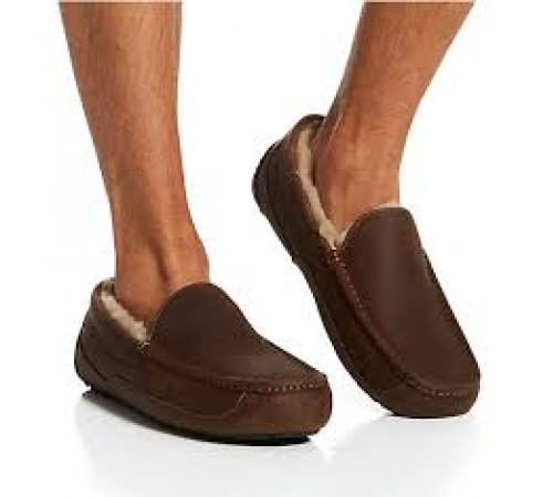 UGG Mens Ascot Chocolate 