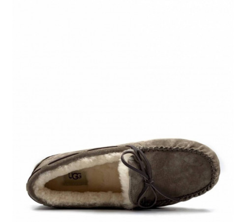 UGG Dakota Taupe