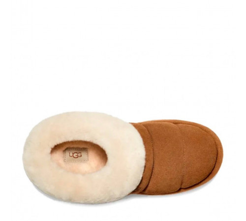 UGG Tazzlita Chestnut